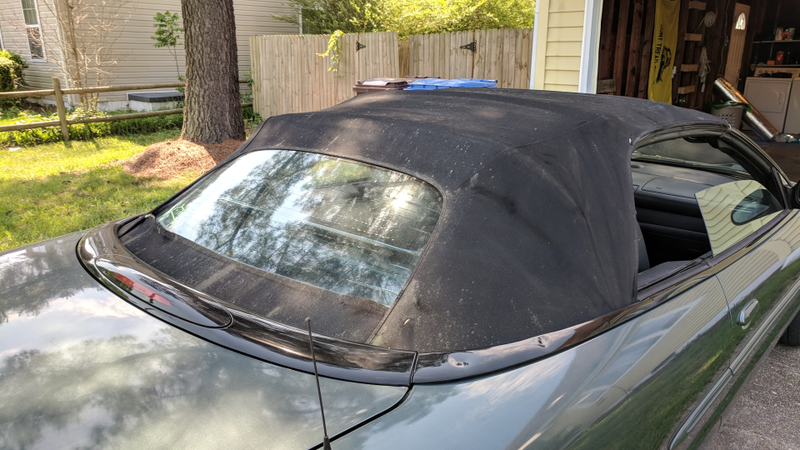 Pollen stains, wear marks around the windows, holes along the back window seal. Discolored. Gross.